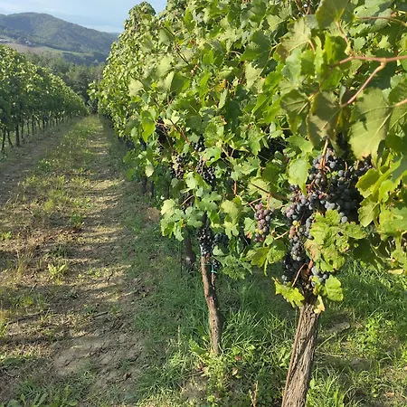 Agriturismo Marzolara.-2